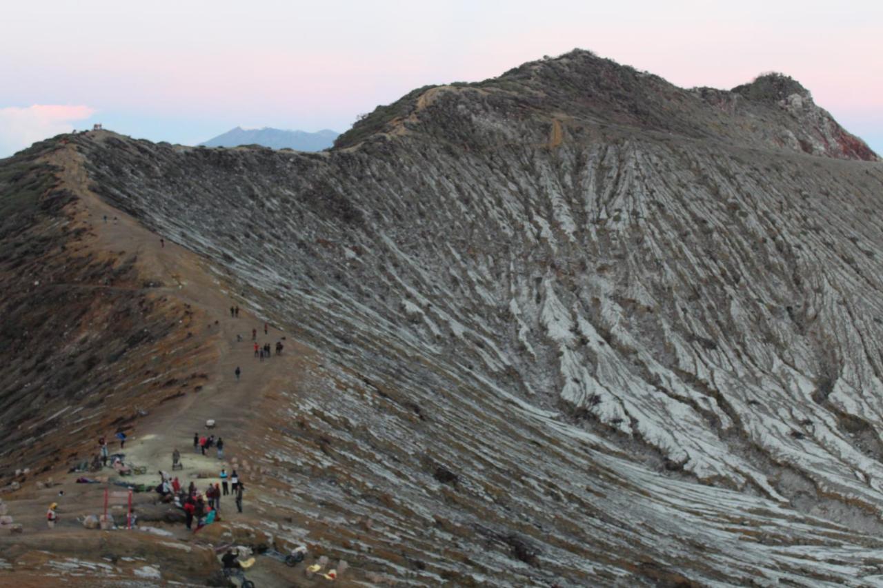 Hostel Backpacker Kawah Ijen Banyuwangi  Exterior foto