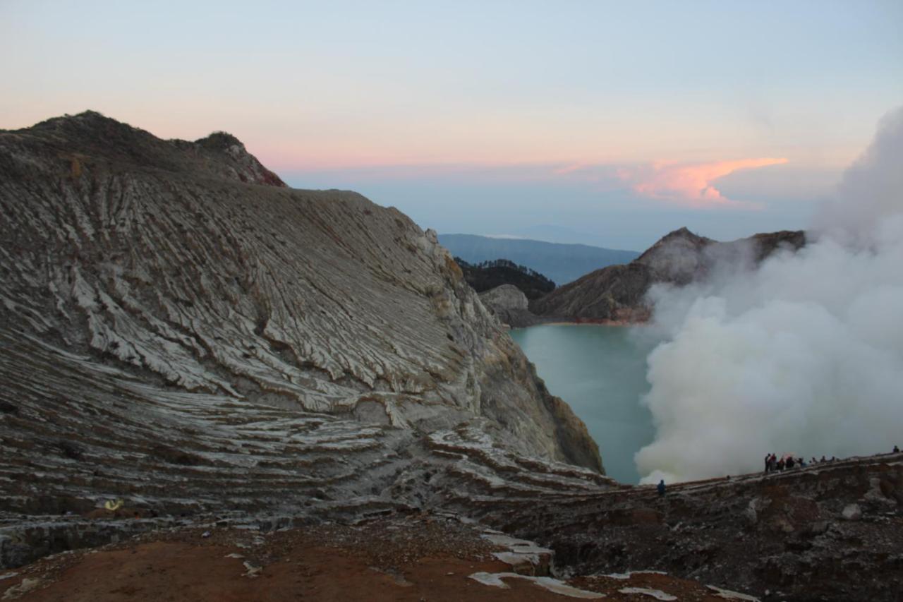 Hostel Backpacker Kawah Ijen Banyuwangi  Exterior foto