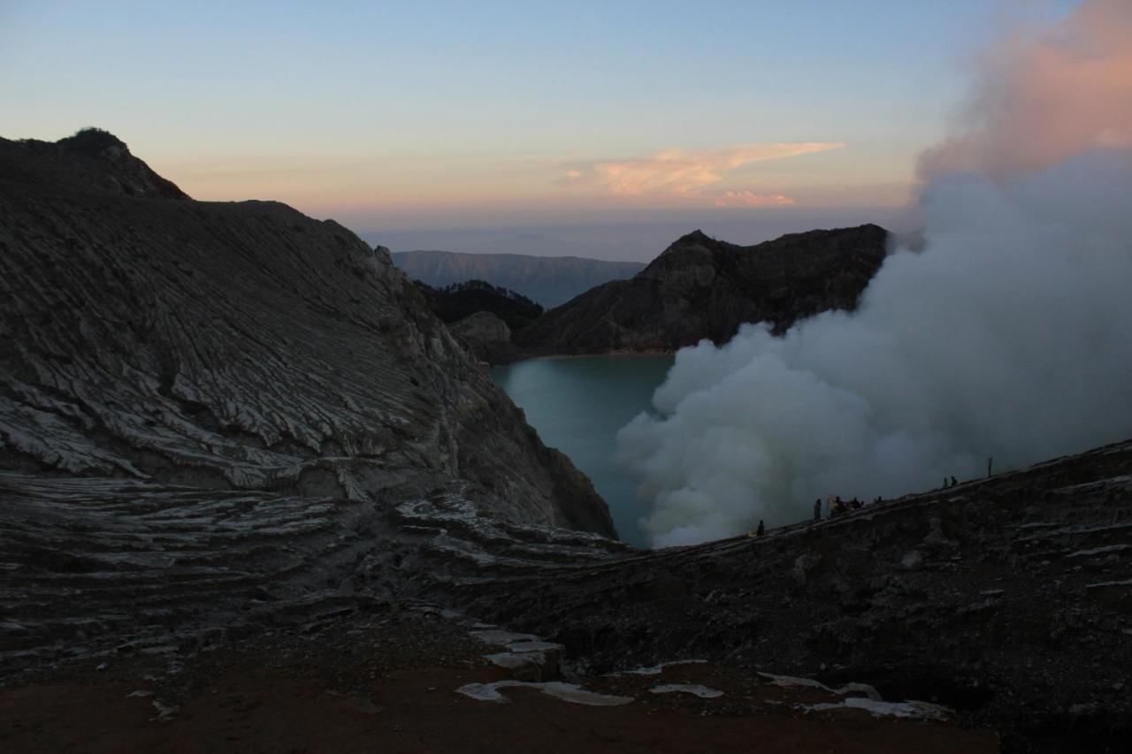 Hostel Backpacker Kawah Ijen Banyuwangi  Exterior foto