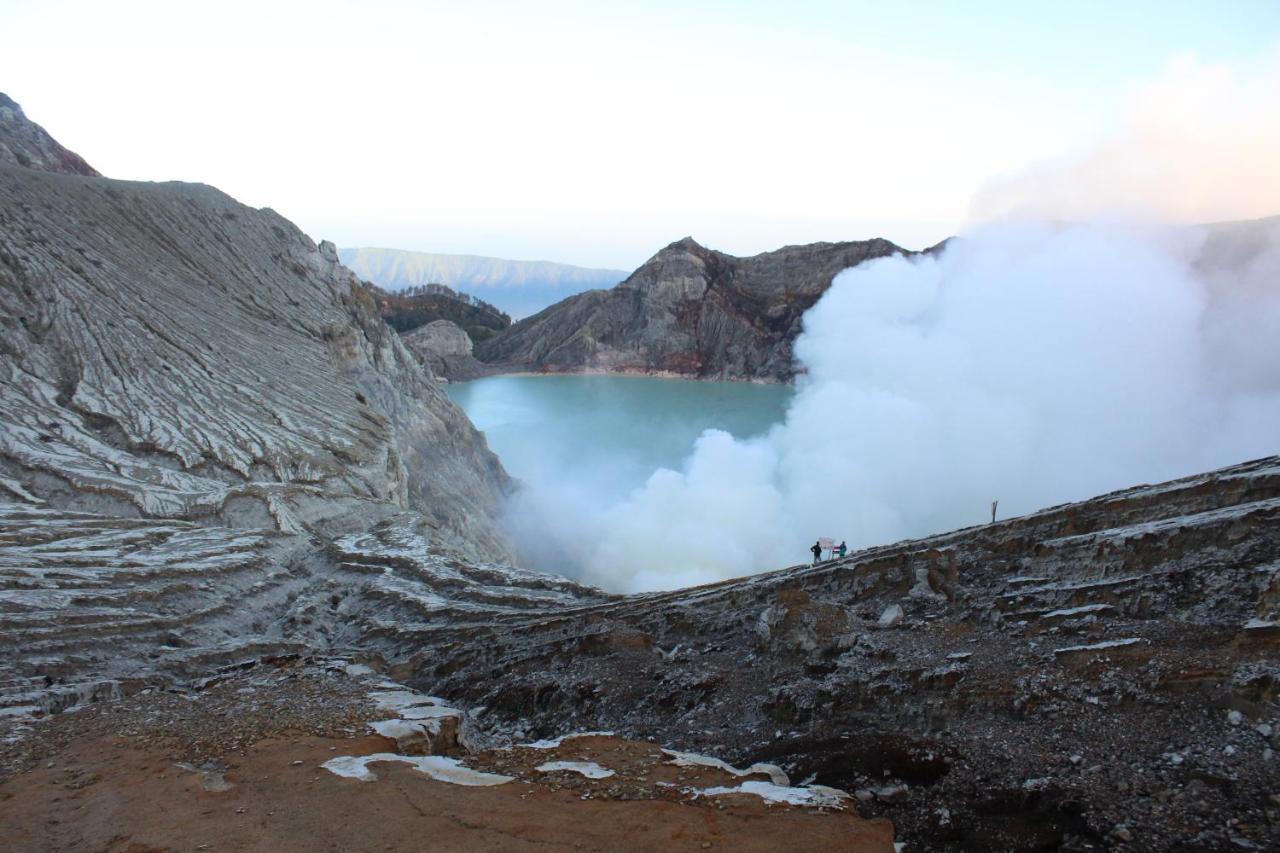 Hostel Backpacker Kawah Ijen Banyuwangi  Exterior foto