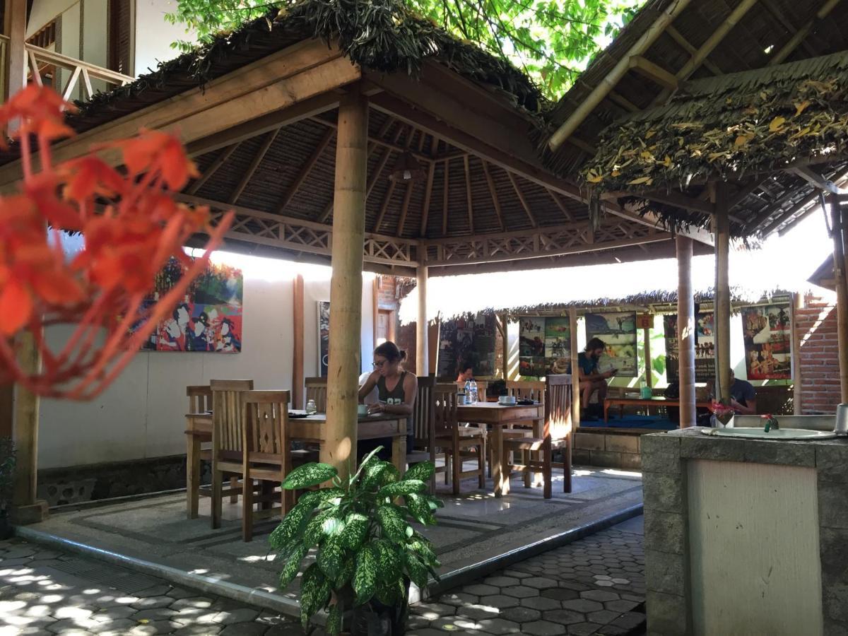 Hostel Backpacker Kawah Ijen Banyuwangi  Exterior foto